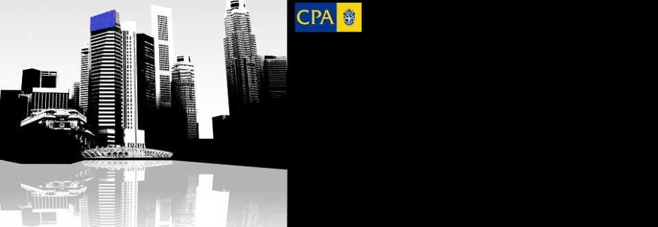 Professional Services